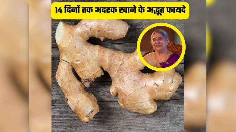 14 दिनों तक अदरक खाने से क्या होगा? डॉक्टर हंसाजी ने बताए फायदे, जानकर आप भी खाने लगेंगे