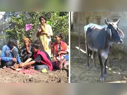 गाय की मौत पर छपवाए शोक संदेश कार्ड, शोक सभा-प्रसादी में BJP प्रदेश अध्यक्ष को बुलाया; पढ़ें दिलचस्प कहानी