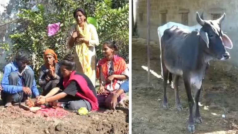 गाय की मौत पर छपवाए शोक संदेश कार्ड, शोक सभा-प्रसादी में BJP प्रदेश अध्यक्ष को बुलाया; पढ़ें दिलचस्प कहानी