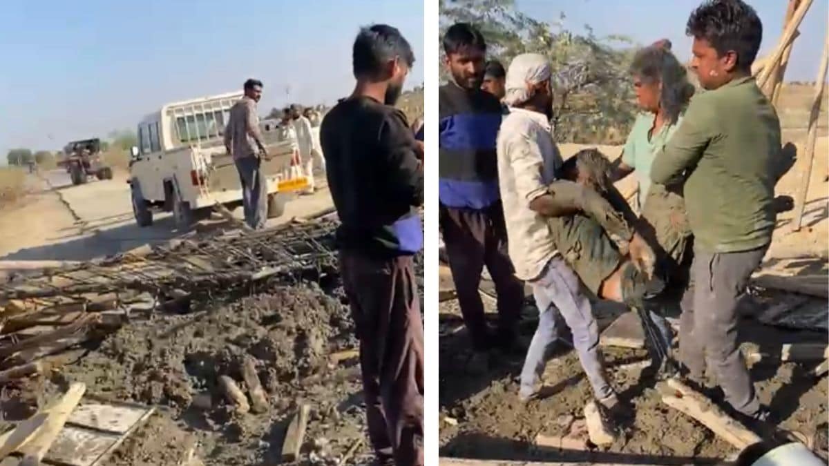 Latest and Breaking News on NDTV