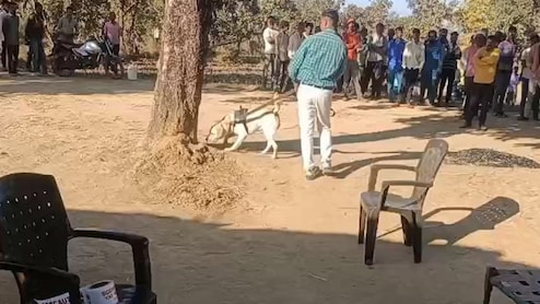 सिवनी में गर्भवती पत्नी की हत्या, पति का शव कुएं में मिला, चरित्र संदेह पर वारदात की आशंका