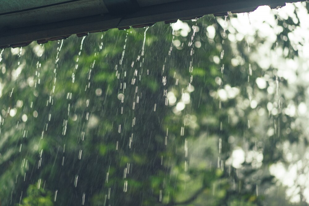 Heavy Rains In Kerala; IMD Issues Orange Alert In Five Districts