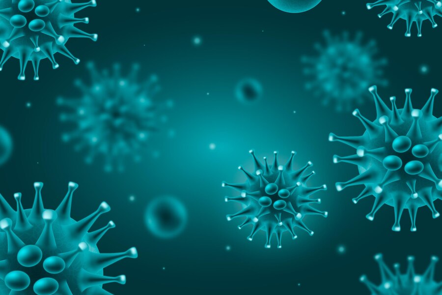 Kerala Reports African Swine Fever Outbreak In Thrissur District
