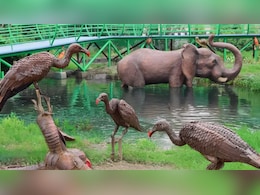 नोएडा को मिला नया मनोरंजन स्‍थल,  कबाड़ से बना  ‘जंगल ट्रेल पार्क’ खुला