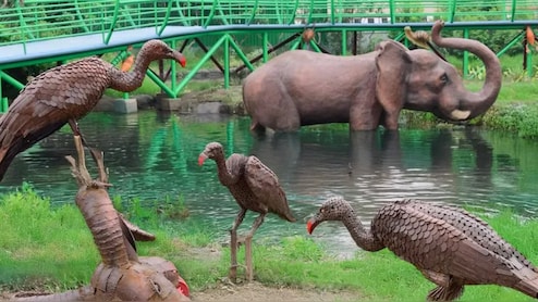 नोएडा को मिला नया मनोरंजन स्‍थल,  कबाड़ से बना  ‘जंगल ट्रेल पार्क’ खुला