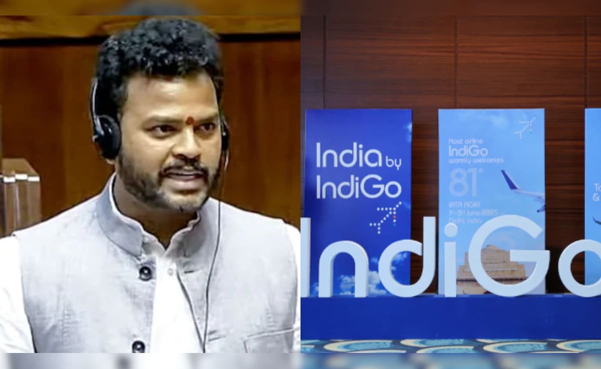 "No Airline, However Large...": Centre's Tough Message After IndiGo Crisis