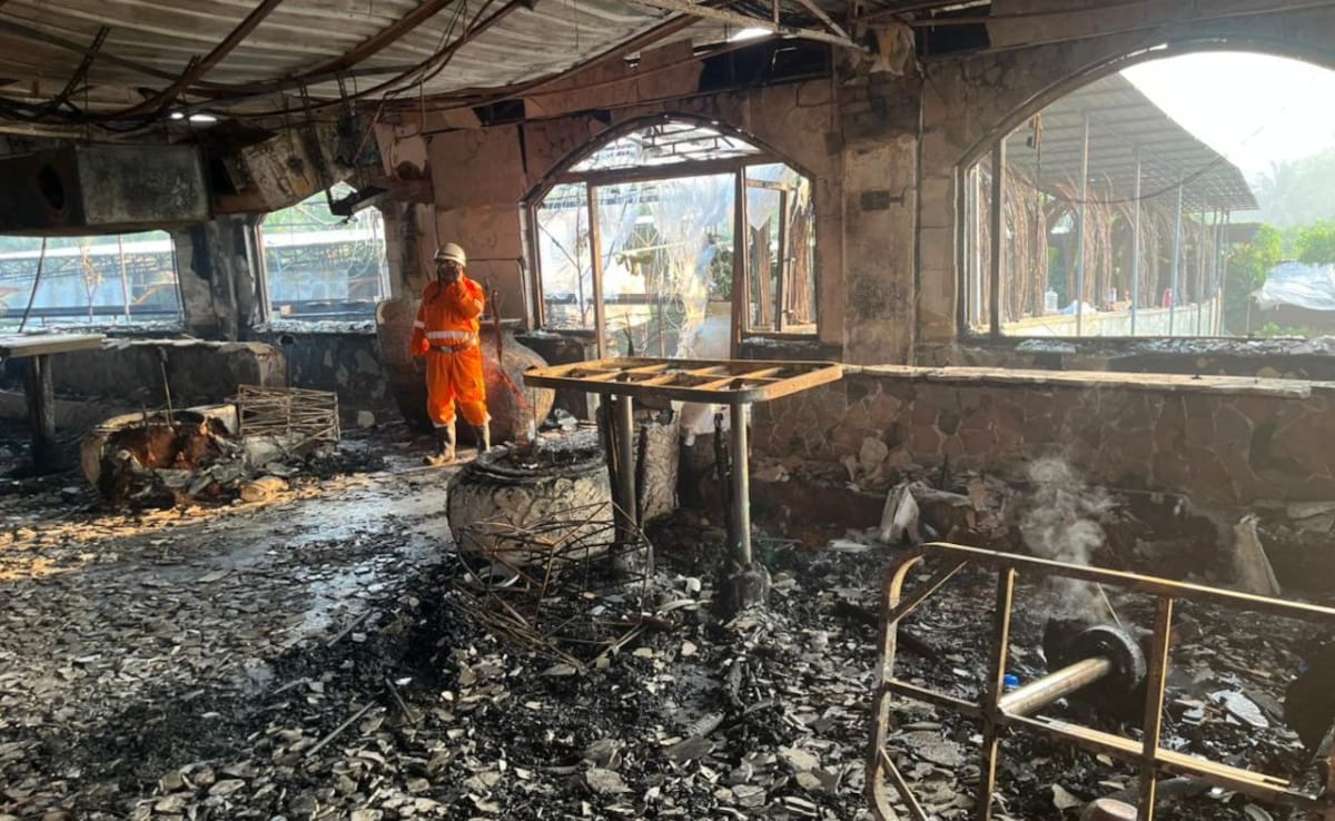 Latest and Breaking News on NDTV Latest and Breaking News on NDTV