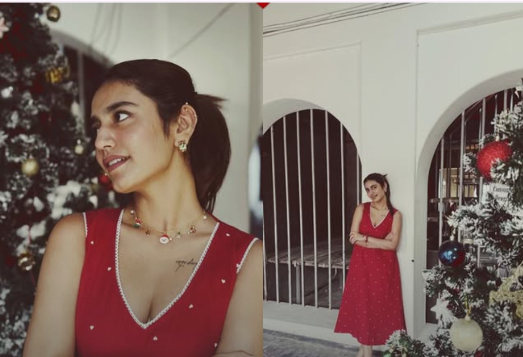 Priya Prakash Varrier Christmas Post: प्रिया प्रकाश वारियर की क्रिसमस पोस्ट वायरल, 11 फोटो में दिखाया विंक गर्ल ने कैसे मनाया क्रिसमस