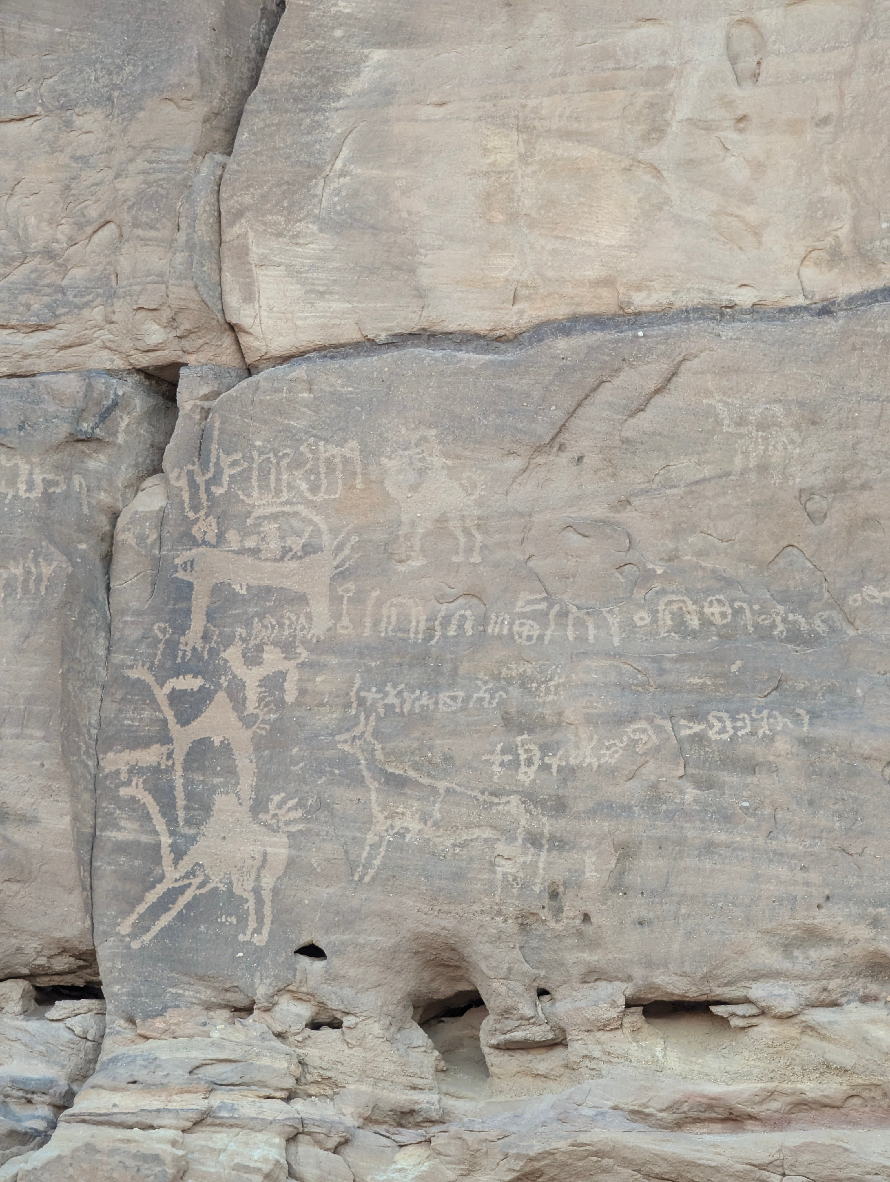 Rock carvings in AlUla. Photo: Author