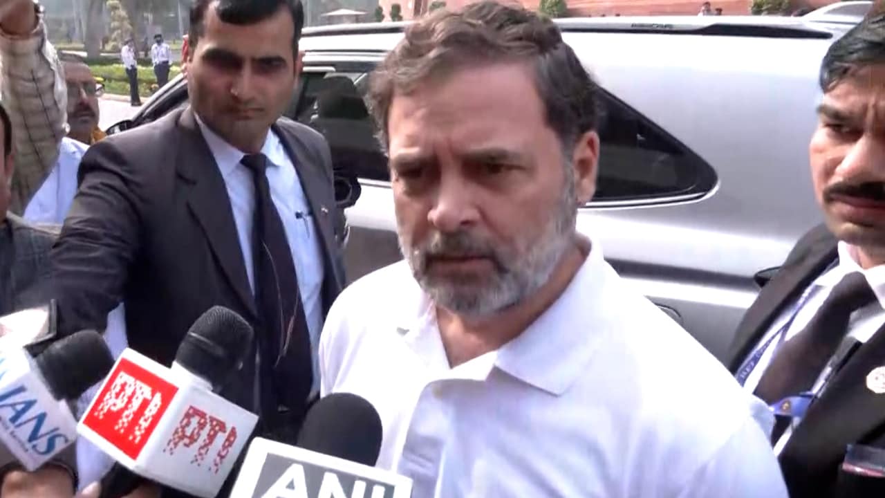 Government Tells Visiting Dignitaries Not To Meet LoP: Rahul Gandhi On Putin's Visit