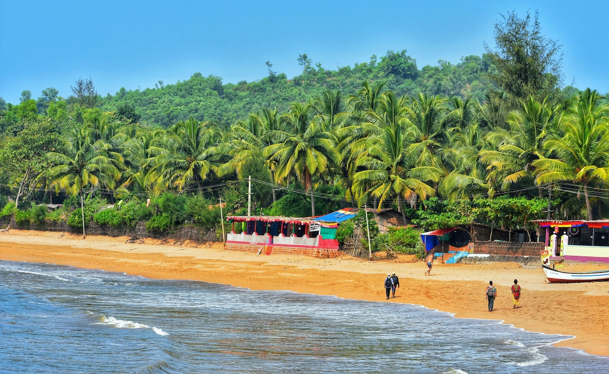 Latest and Breaking News on NDTV