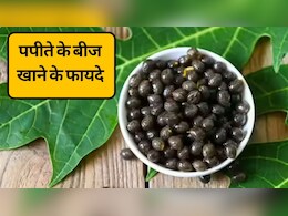 बेकार समझकर फेंक देते हैं पपीते के बीज? लिवर, पाचन और वजन घटाने में मददगार, जानें पपीते के बीज के फायदे