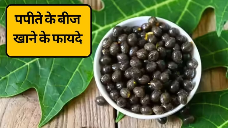 बेकार समझकर फेंक देते हैं पपीते के बीज? लिवर, पाचन और वजन घटाने में मददगार, जानें पपीते के बीज के फायदे