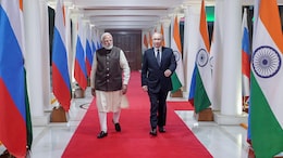 Opinion | Putin In India: The Elephant, The Bear And The Burning Forest