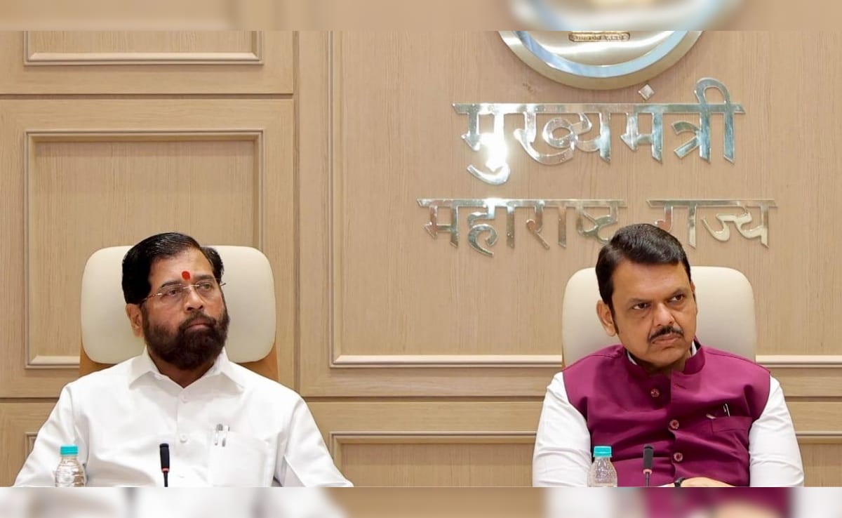 The Art of Baking: From Classic Bread to Artisan Pastries