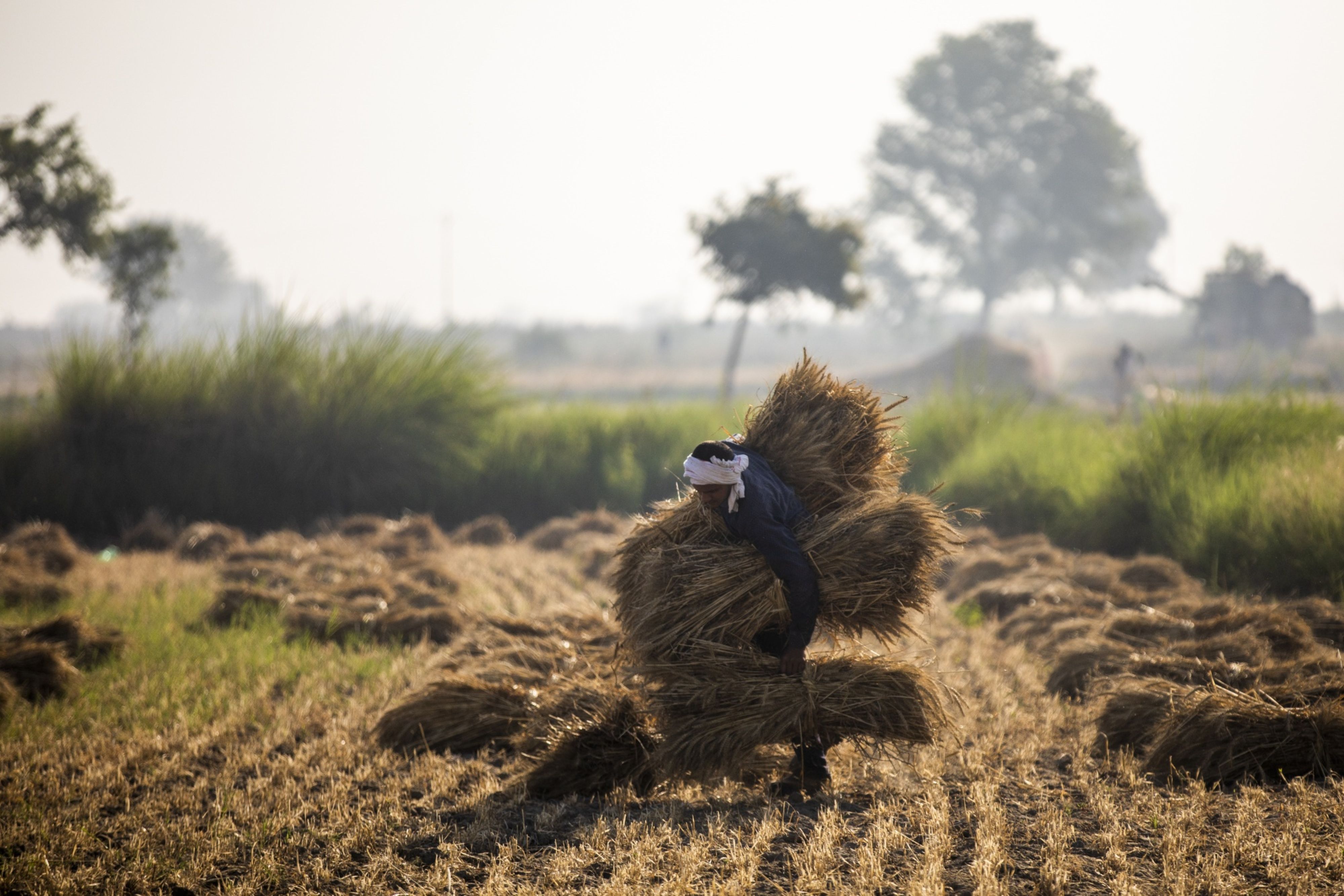 Farmers Protests Updates | Punjab, Haryana Farmers Hit The Roads; Police Deployed At Delhi Borders