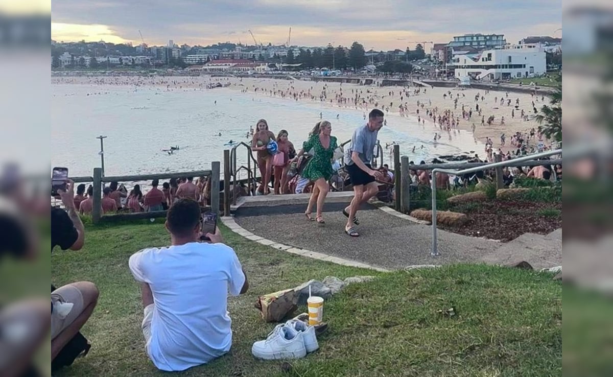 Latest and Breaking News on NDTV Latest and Breaking News on NDTV