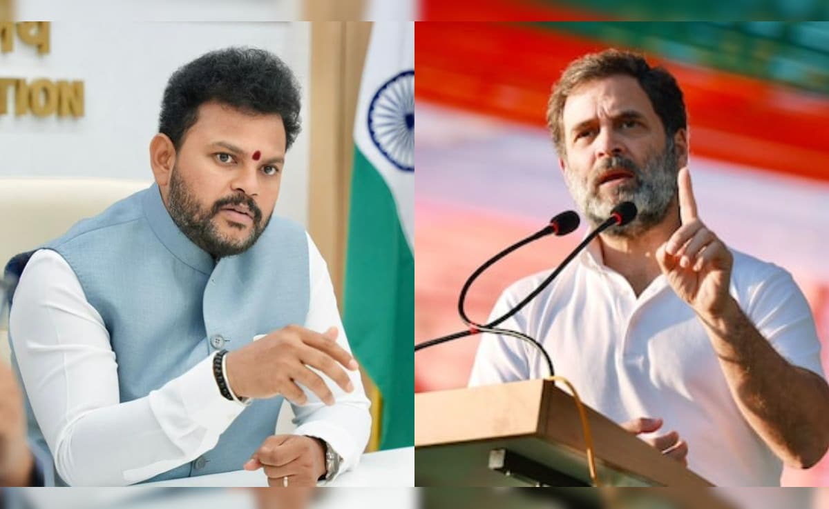 IndiGo Chaos: Aviation Minister Counters Rahul Gandhi's 'Monopoly' Charge