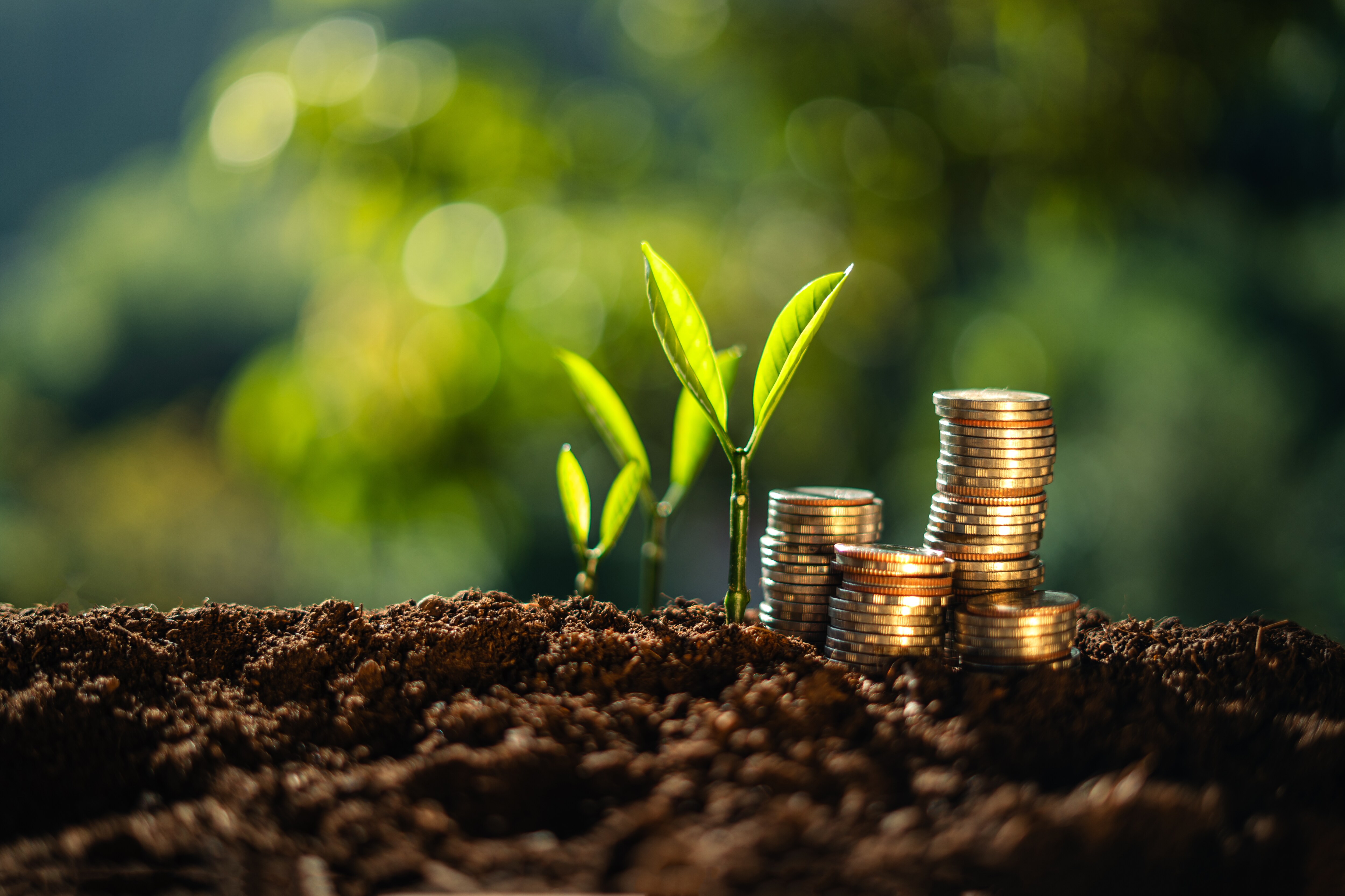 Interest Rates On Small Savings Schemes To Remain Unchanged For Third Quarter