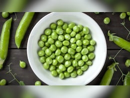 सर्दियों में हरी मटर क्यों खानी चाहिए? हरा मटर खाने से कौन सी बीमारी ठीक होती है, मटर की तासीर ठंडी होती है या गर्म, जानिए