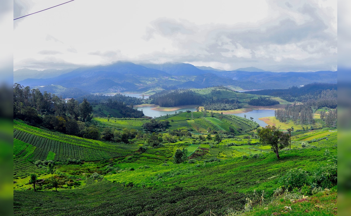 Latest and Breaking News on NDTV