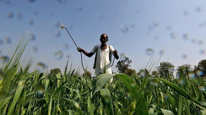 Why Some Brokerages Raised Target Price On UPL's Stock Post Q1 Earnings
