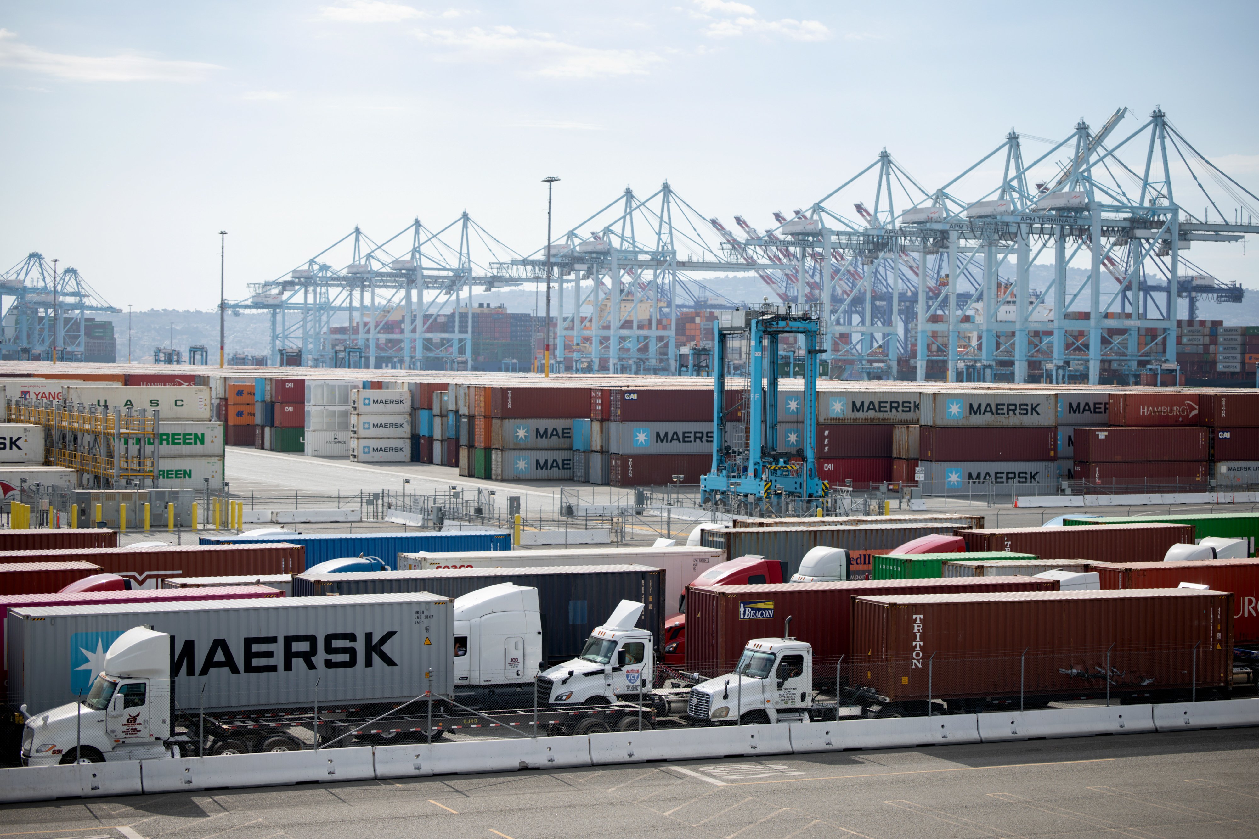 World Economy Surprisingly Resilient To Tariffs, OECD Says