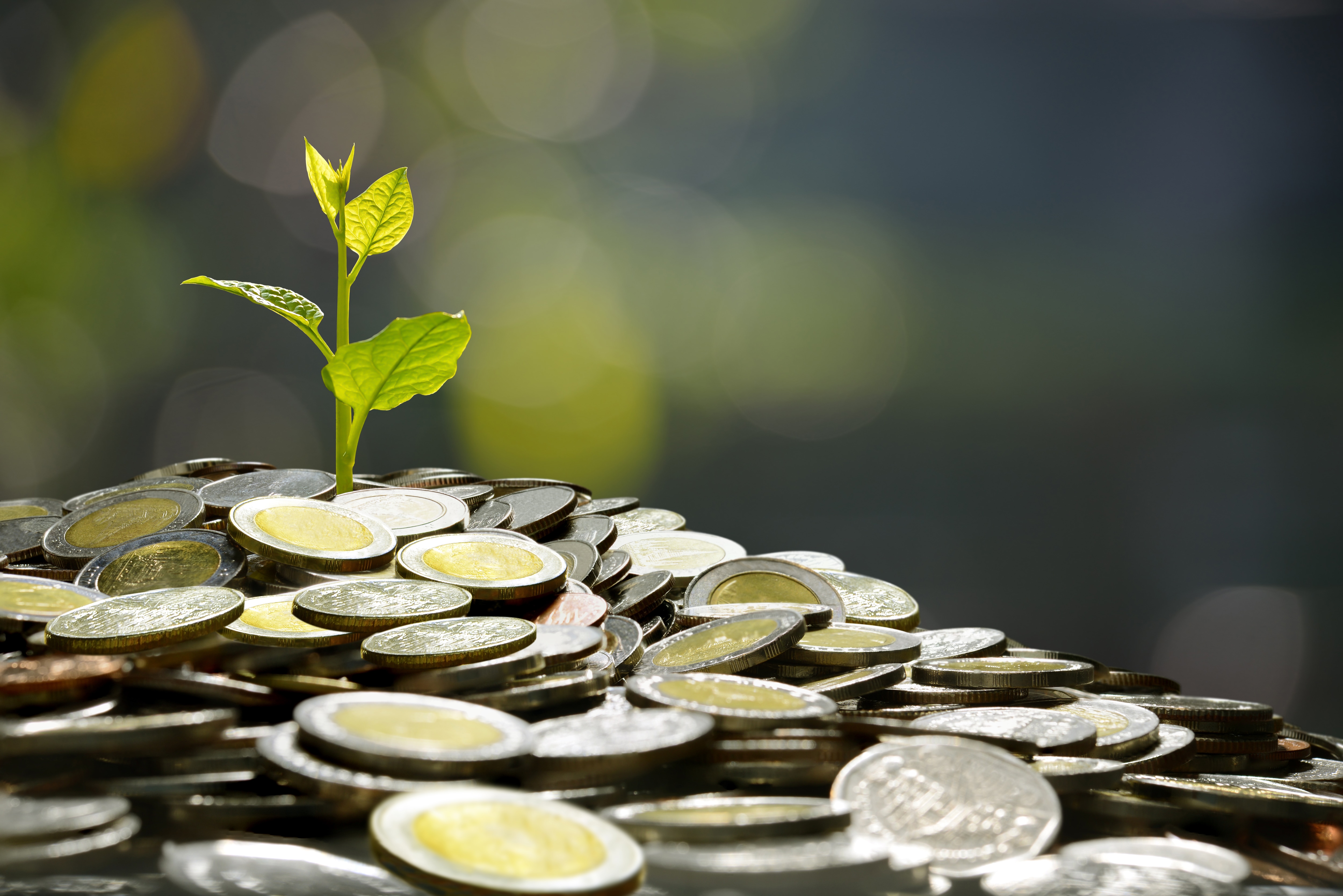 IPO Market Emerged Bright Spot In 2024, Private Equity To Drive Growth In 2025: Gopal Jain