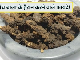 याददाश्त, नींद, तनाव और पाचन सुधारने वाली आयुर्वेदिक जड़ी-बूटी, सुगंध बाला के अनेक फायदे और सेवन का सही तरीका