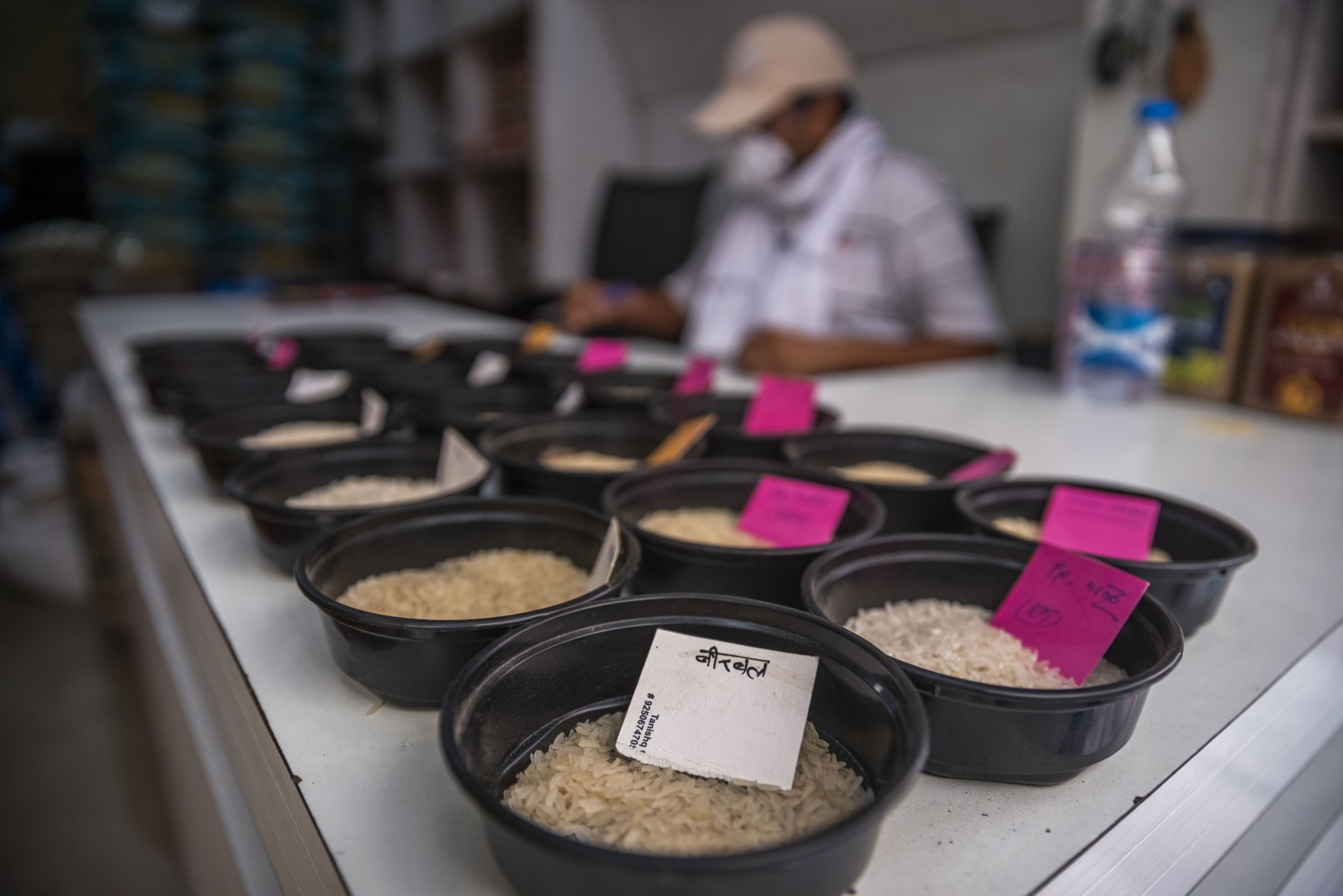 Retail Inflation Eases Marginally For Farm, Rural Workers In September