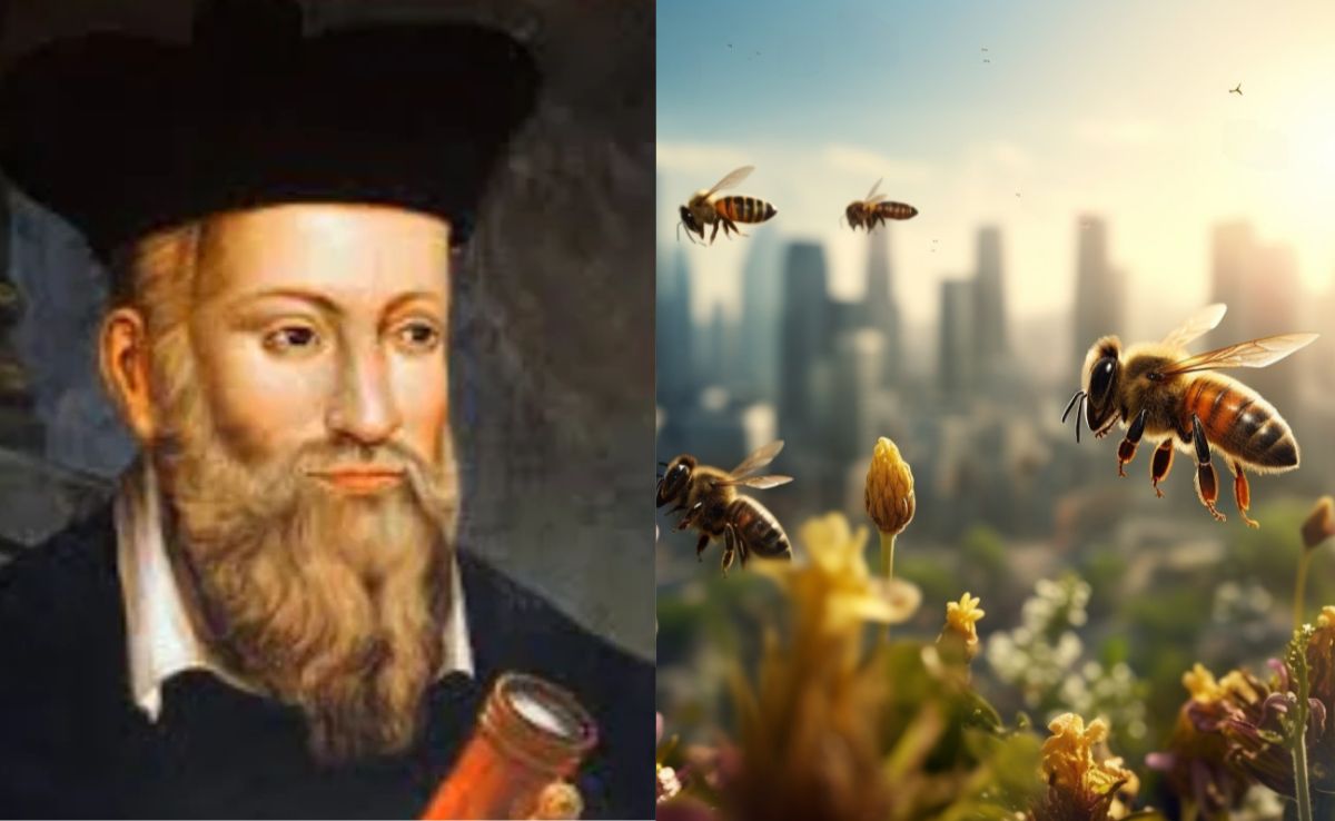 मौत बन बरसेंगी 'मधुमक्खियां', खून की नदियां बहेंगी... 2026 की नास्त्रेदमस की भविष्यवाणी में '26' का फेर' क्या है