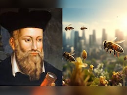 मौत बन बरसेंगी 'मधुमक्खियां', खून की नदियां बहेंगी... 2026 की नास्त्रेदमस की भविष्यवाणी में '26' का फेर' क्या है