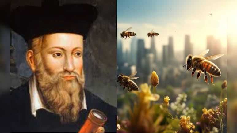 मौत बन बरसेंगी 'मधुमक्खियां', खून की नदियां बहेंगी... 2026 की नास्त्रेदमस की भविष्यवाणी में '26' का फेर' क्या है