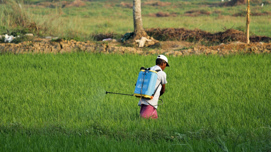 Budget 2026: What's In It For Farmers? Coconut, Cocoa, Cashew, Sandalwood Missions; Boost For Fisheries