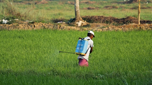 Centre Expects Limited Damage To Agriculture From El Nino