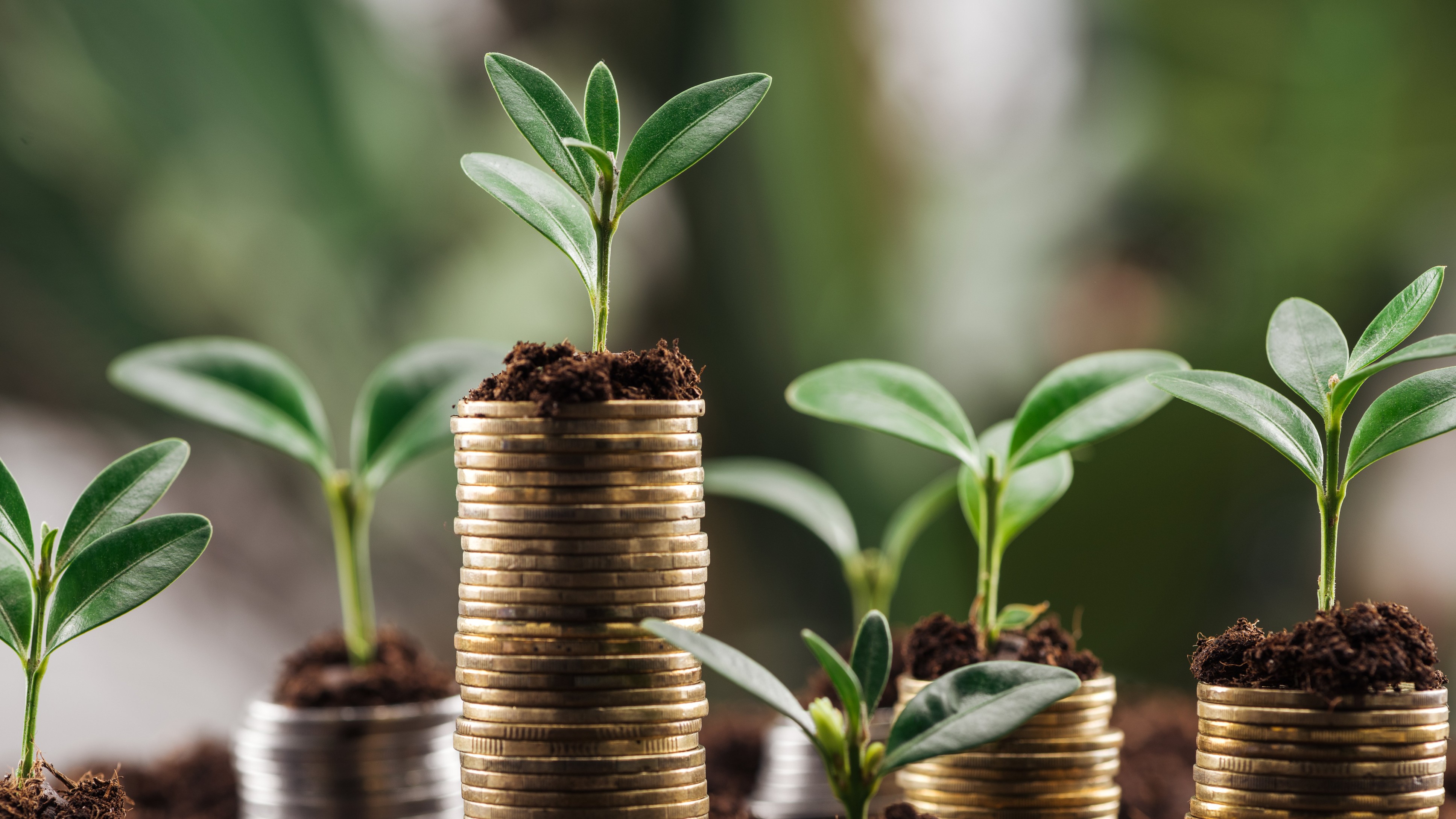 AMFI Data: Equity Inflows See Seasonal Dip In September