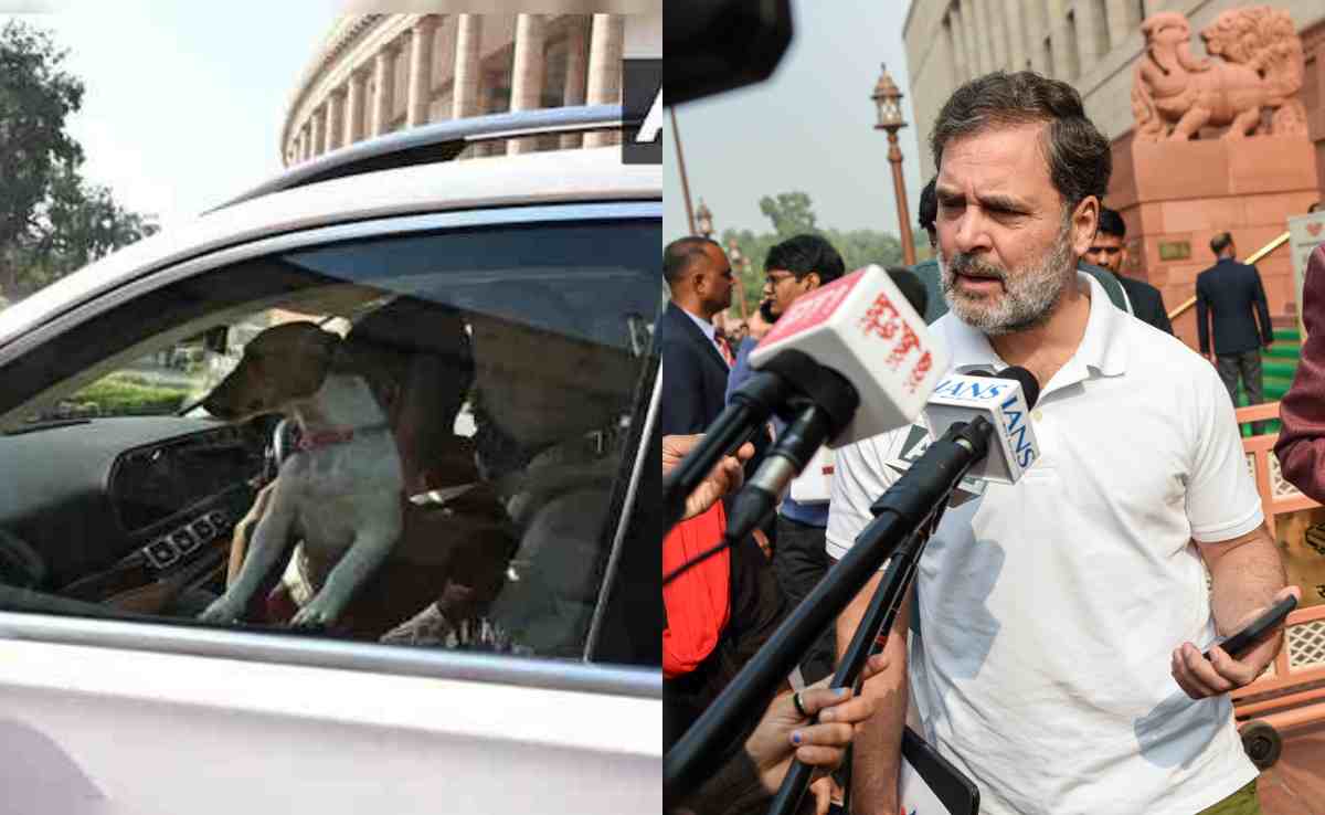 बेचारे कुत्ते ने क्या किया... संसद में कुत्ता लाए जाने पर हुए विवाद पर राहुल गांधी की प्रतिक्रिया