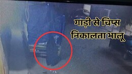 शहडोल जिले के रिहायशी इलाके में घुसा भालू, वाहन पर लदे चिप्स के पैकेट पर किया हाथ साफ