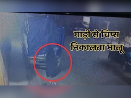 शहडोल जिले के रिहायशी इलाके में घुसा भालू, वाहन पर लदे चिप्स के पैकेट पर किया हाथ साफ