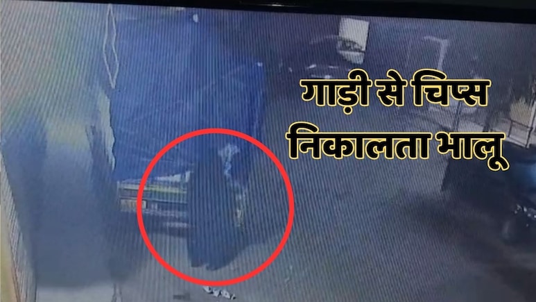 शहडोल जिले के रिहायशी इलाके में घुसा भालू, वाहन पर लदे चिप्स के पैकेट पर किया हाथ साफ