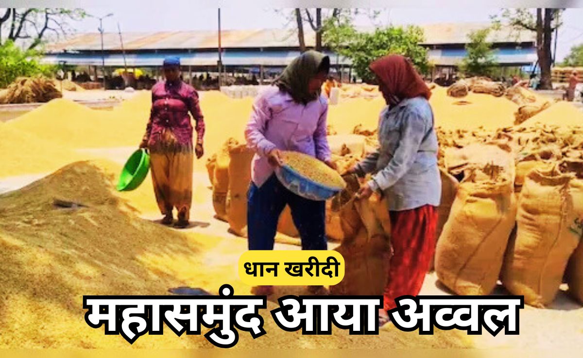 छत्तीसगढ़ में धान की बंपर खरीद, अब तक 22 लाख मीट्रिक टन से ज़्यादा की खरीदी, अव्वल रहा महासमुंद