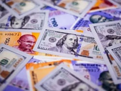 &#039;Not Losing Sleep&#039;: Chief Economic Adviser On Falling Rupee Against Dollar