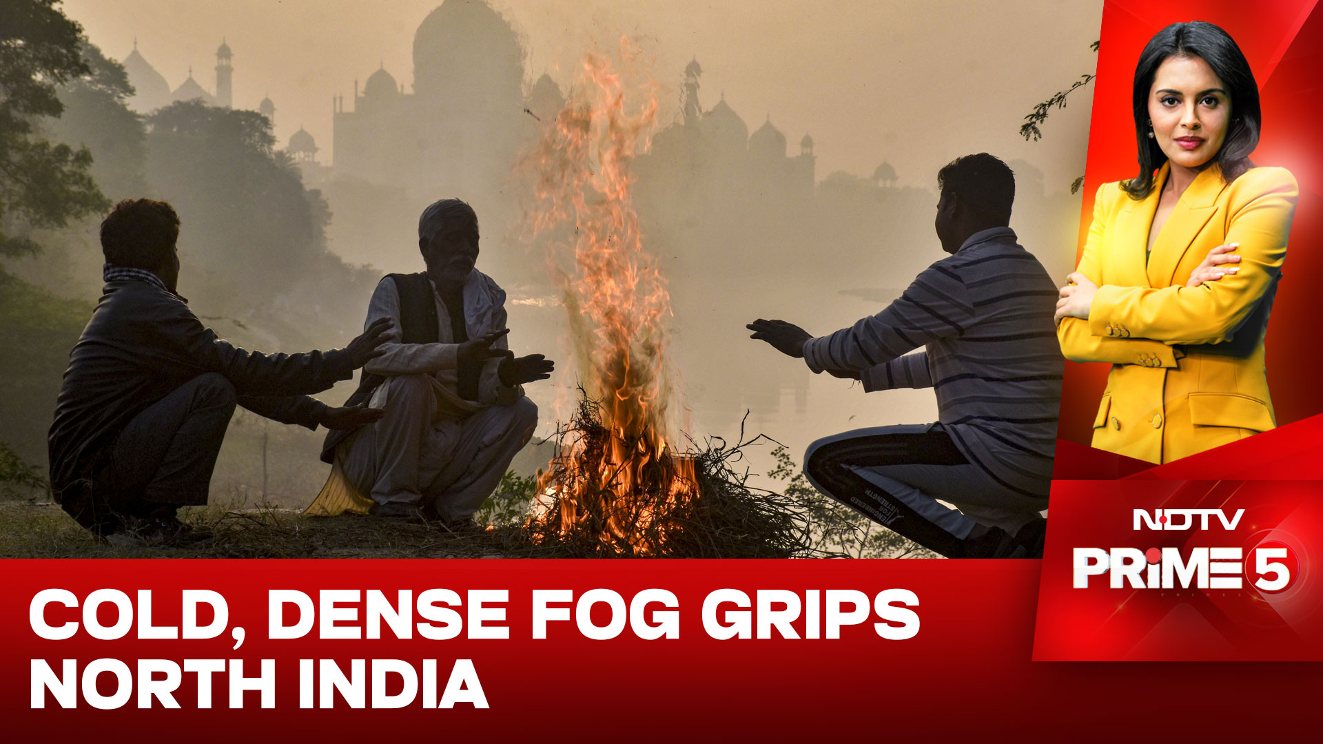 North India Shivers: Cold Wave, Fog Disrupt Daily Life