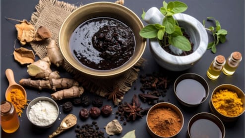 Chyawanprash Benefits: सर्दियों में च्यवनप्राश क्यों है अभेद्य कवच? जानिए इसके फायदे और सेवन का सही तरीका