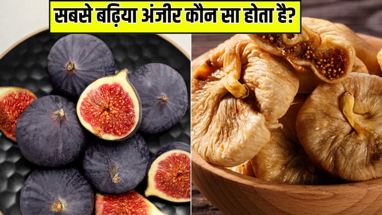 Fresh vs Dried Figs: कौन सा अंजीर सबसे अच्छा है, सूखा या ताजा? डॉक्टर ने बताया किसे खाने से मिलते हैं ज्यादा फायदे