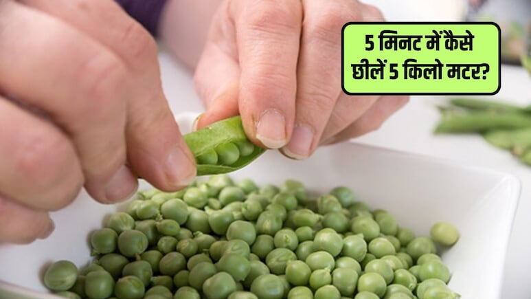 5 मिनट में छिल जाएगी 5 किलो मटर, बस अपना लें ये आसान सा तरीका, झटपट हो जाएगा पूरा काम
