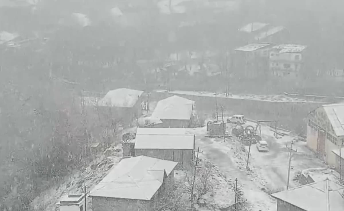 कारगिल में हुई बर्फबारी