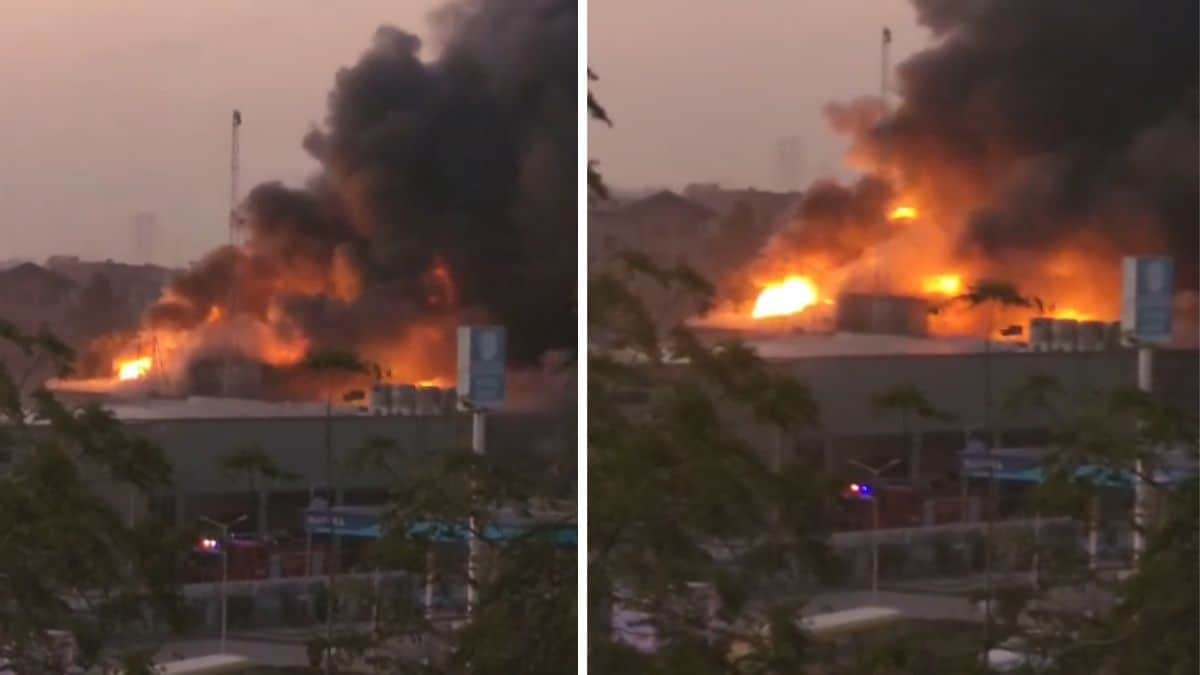 Latest and Breaking News on NDTV Latest and Breaking News on NDTV