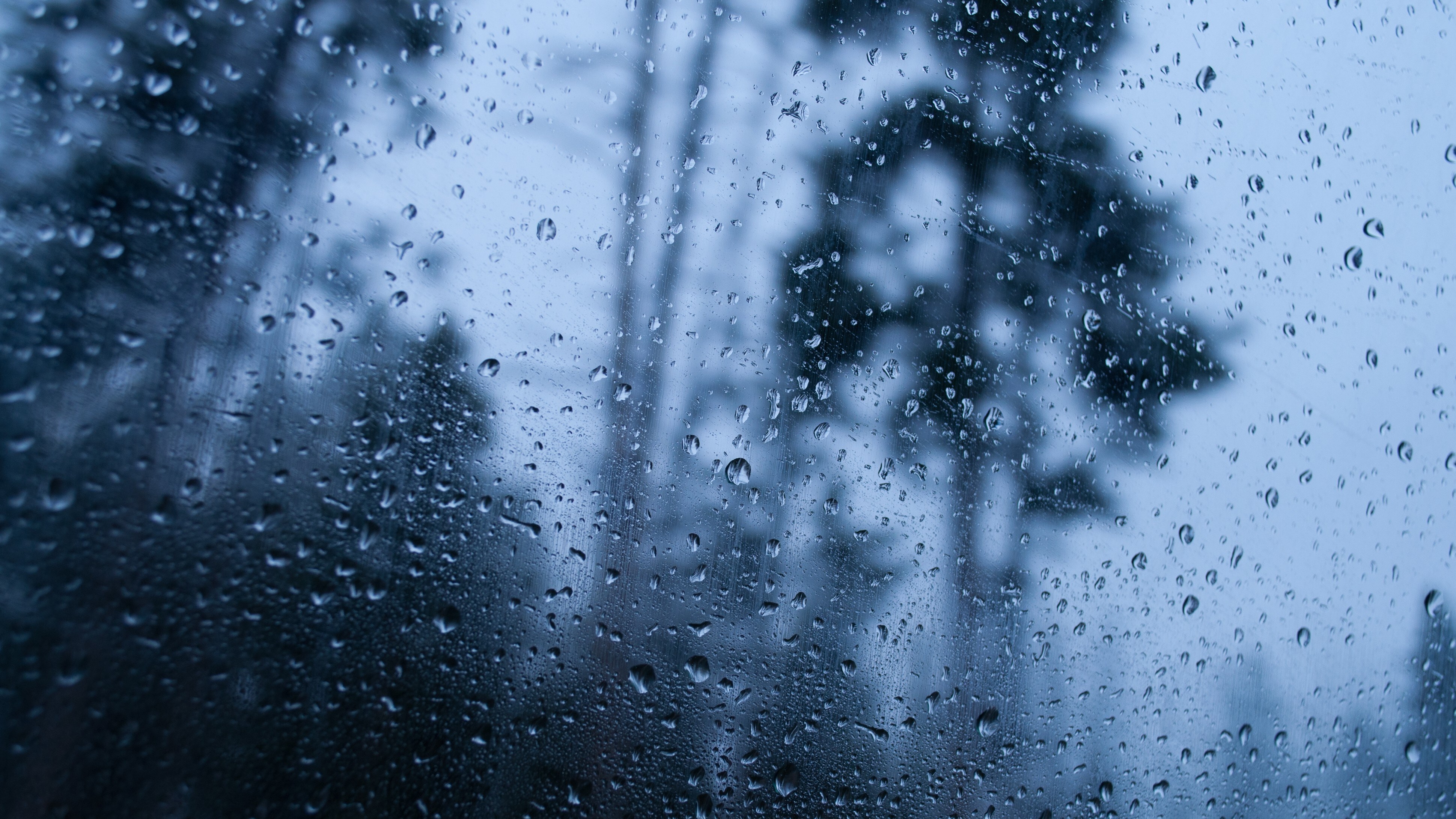 Southwest Monsoon Enters Rajasthan Week Ahead Of Scheduled Arrival
