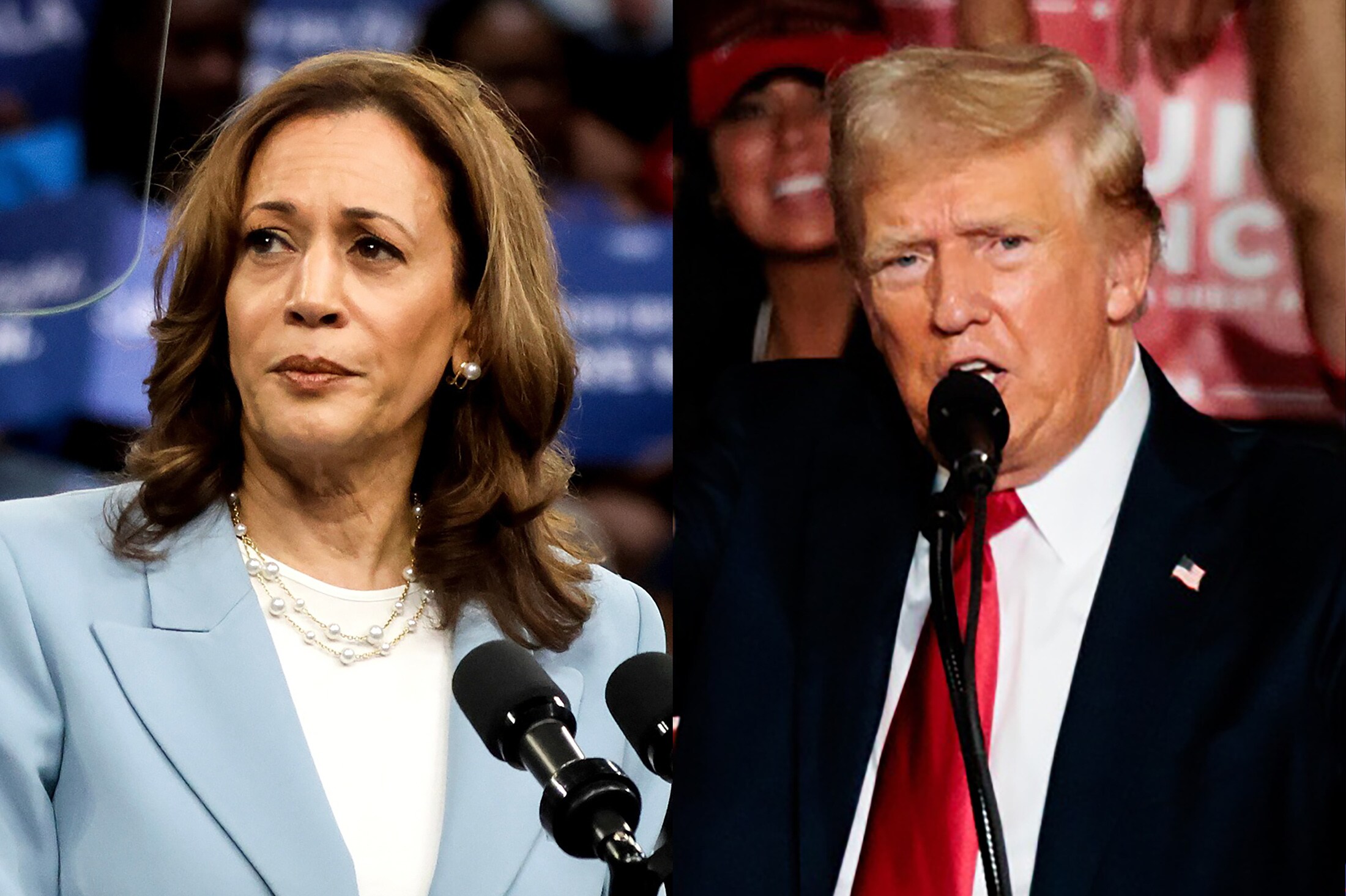 US Election: Trump And Harris Are Both Faltering Economically, Says Ruchir Sharma